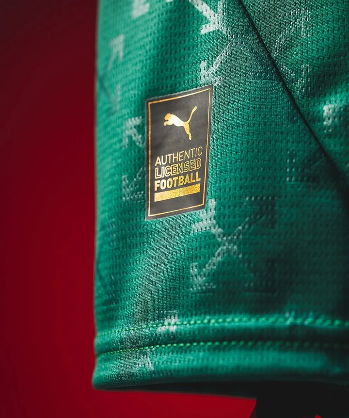 AC Milan goalkeeper jersey 2024 in green with authentic licensed football tag from Puma